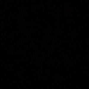 Meet your Posher, Thuy